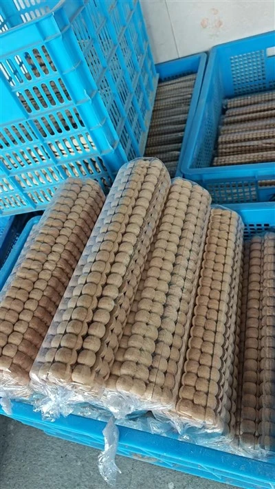 Dây Gỗ Dây Ngọc Trai Đúc